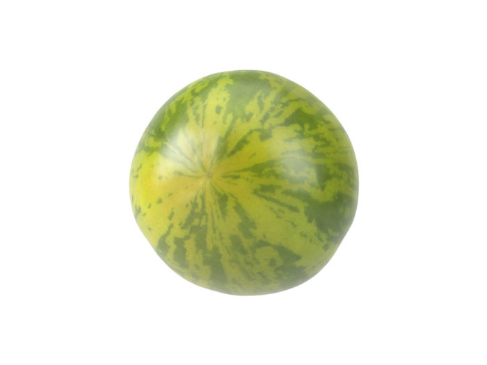 bottom view rendering of a green zebra tomato 3d model