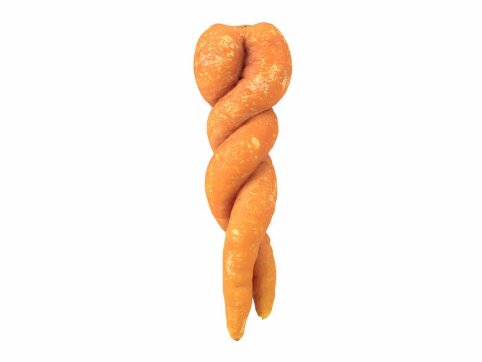 front view rendering of a unique carrot 3d model