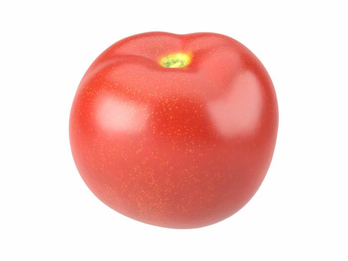 perspective view rendering of a tomato 3d model