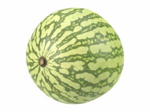 Watermelon #1