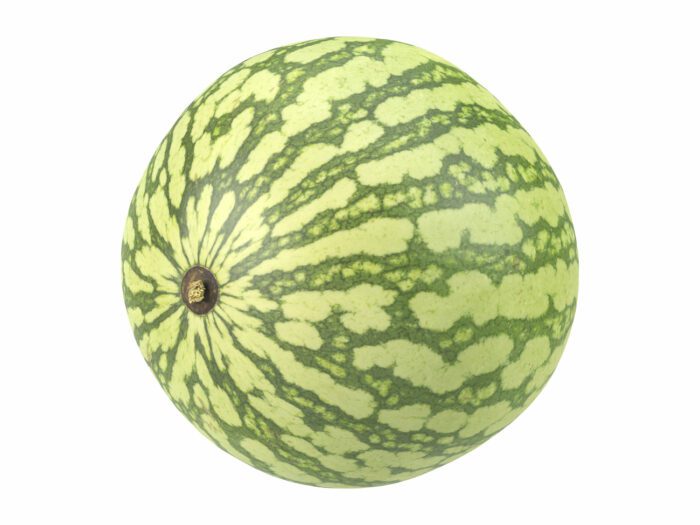perspective view rendering of a watermelon 3d model
