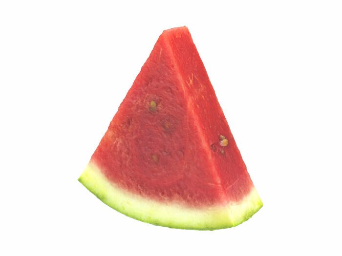 perspective view rendering of a watermelon slice 3d model