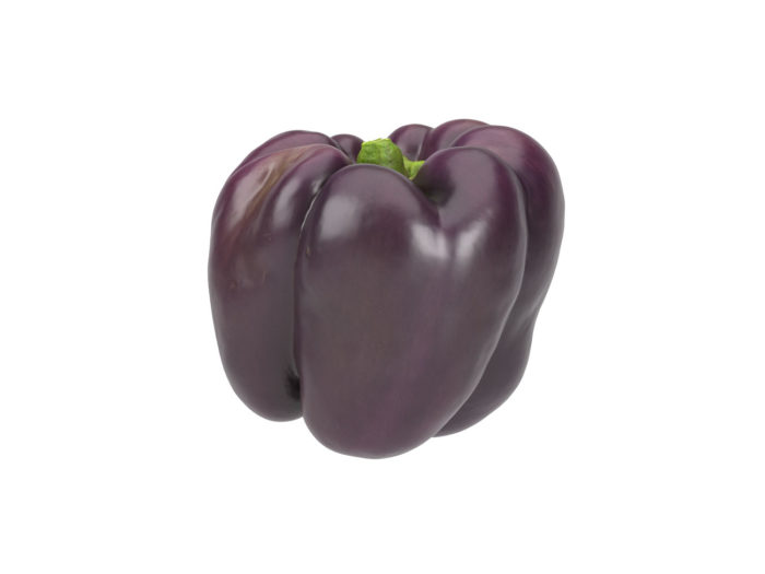 side view rendering of a tequila bell pepper 3d model