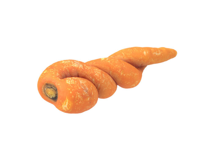 perspective view rendering of a unique carrot 3d model