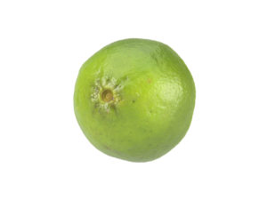 Lime Half #1
