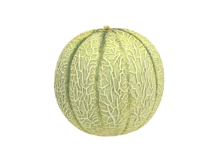 side view rendering of a charentais melon 3d model