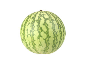 Watermelon #1