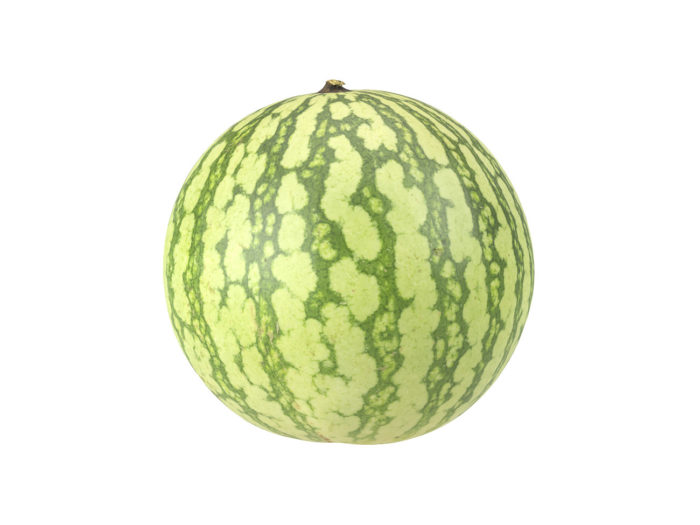 side view rendering of a watermelon 3d model
