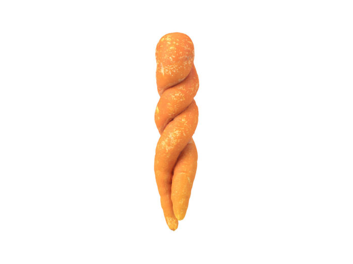 side view rendering of a unique carrot 3d model