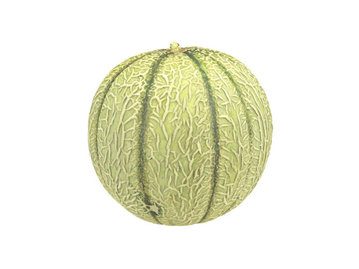 side view rendering of a charentais melon 3d model