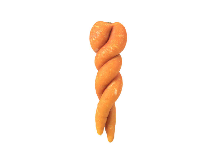 back view rendering of a unique carrot 3d model