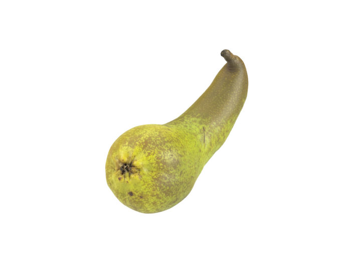 perspective view rendering of a unique pear 3d model
