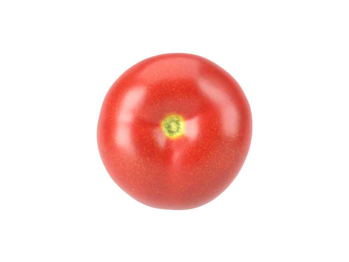 top view rendering of a tomato 3d model