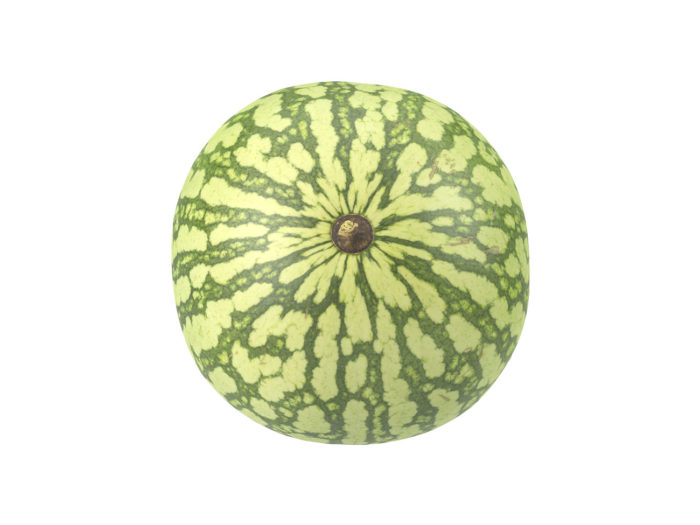 top view rendering of a watermelon 3d model