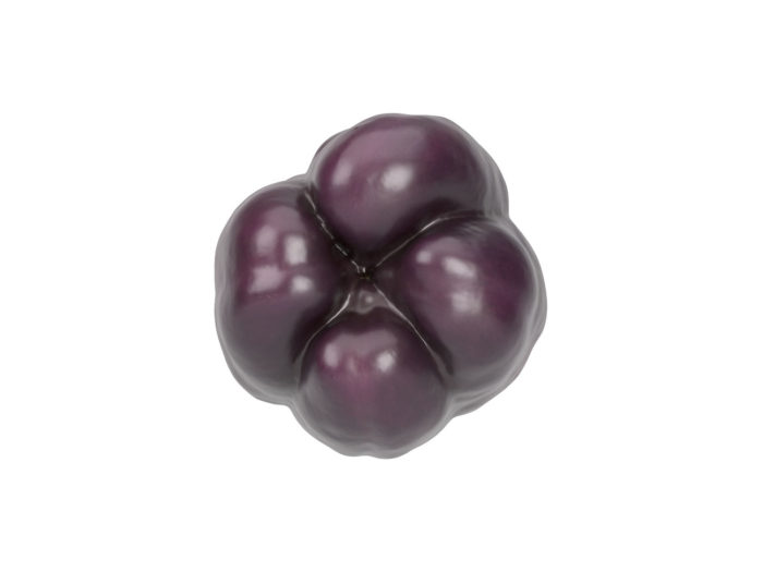 bottom view rendering of a tequila bell pepper 3d model