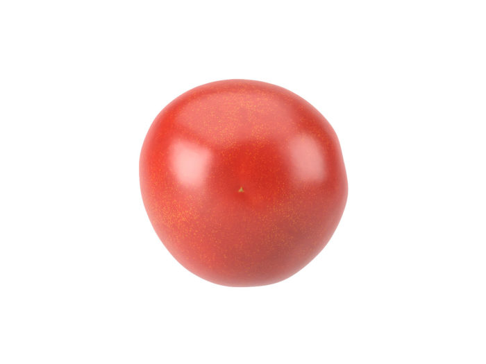 bottom view rendering of a tomato 3d model