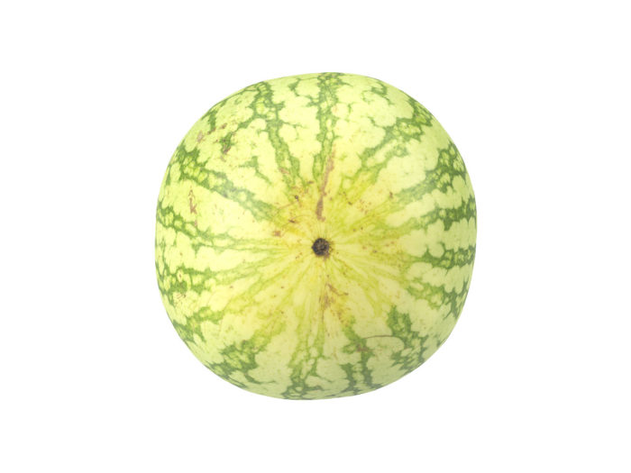 bottom view rendering of a watermelon 3d model