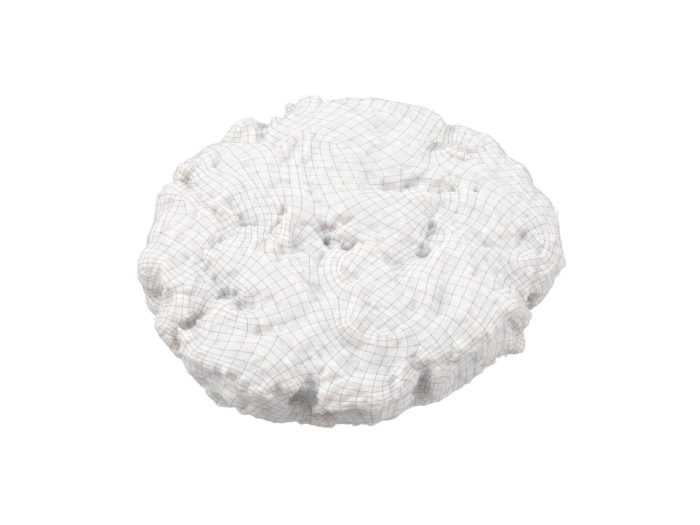 wireframe rendering of a beef burger patty 3d model