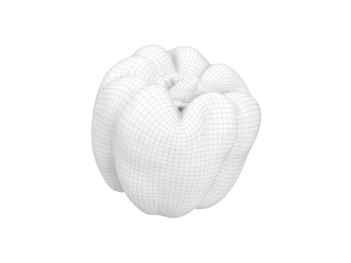 wireframe rendering of a tequila bell pepper 3d model