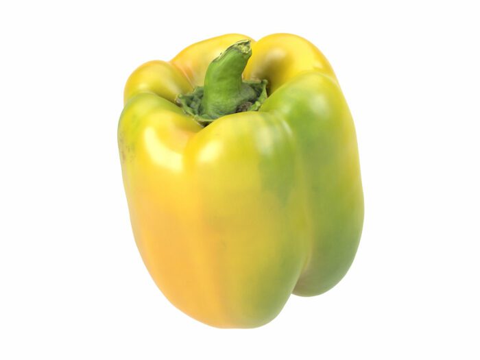 perspective view rendering of a bell pepper 3d model