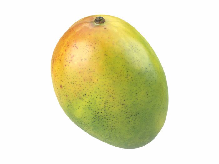 perspective view rendering of a mango 3d model