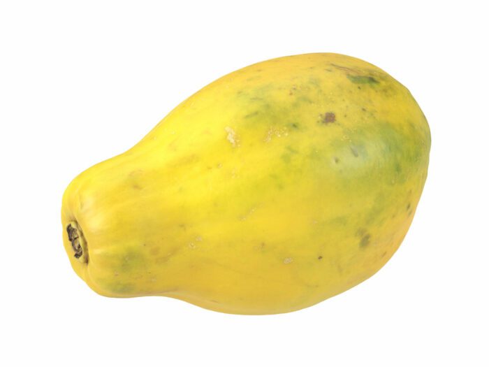 perspective view rendering of a papaya 3d model