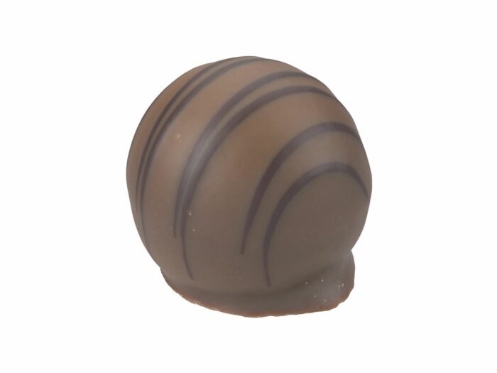 perspective view rendering of a praline 3d model