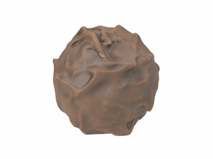 perspective view rendering of a praline 3d model