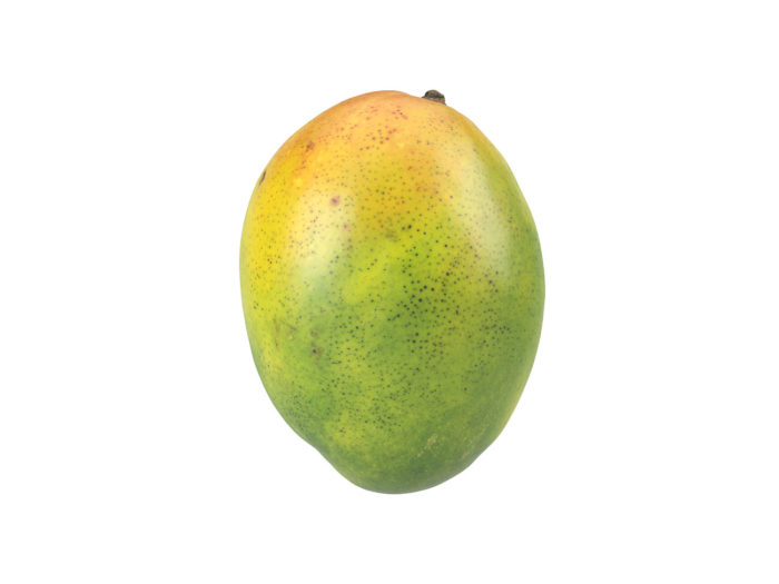 side view rendering of a mango 3d model
