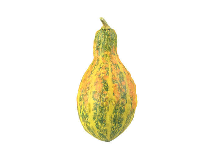 side view rendering of a decorative gourd 3d model