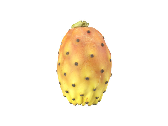 side view rendering of a prickly pear 3d model