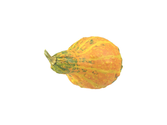 top view rendering of a decorative gourd 3d model