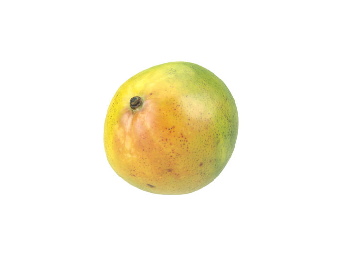 top view rendering of a mango 3d model