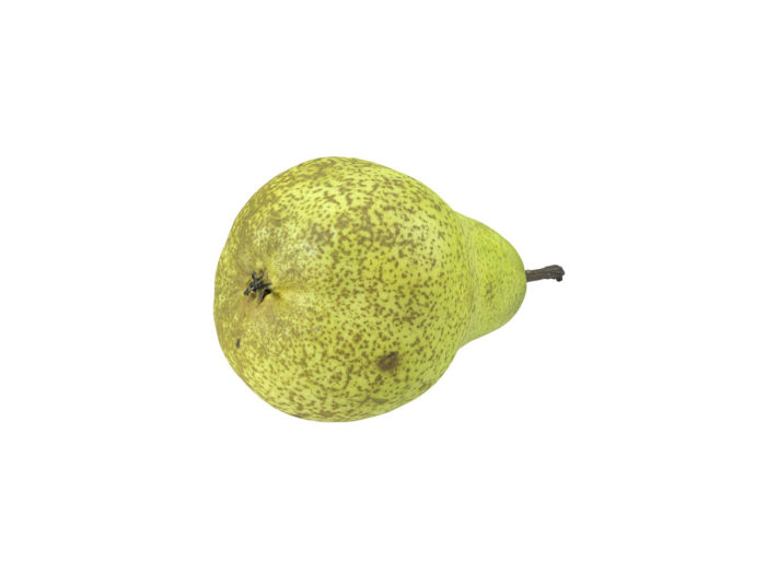 bottom view rendering of a pear 3d model