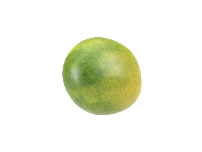 bottom view rendering of a mango 3d model