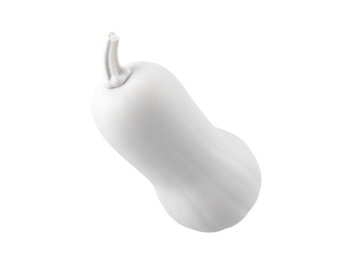 clay rendering of a butternut squash 3d model