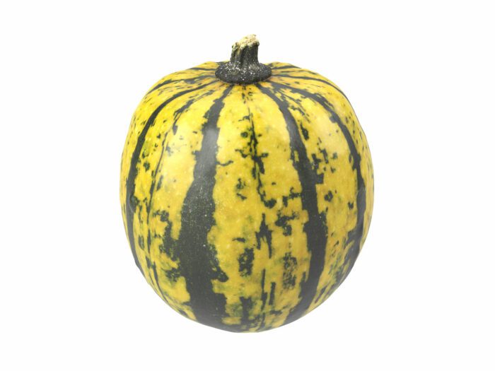 perspective view rendering of a decorative gourd 3d model