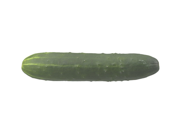 side view rendering of a cucumber 3d model