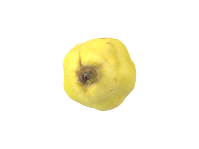 top view rendering of a quince 3d model