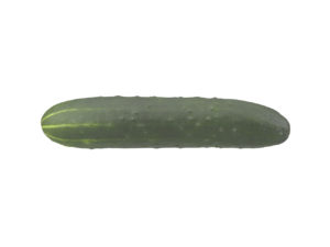 Cucumber #1
