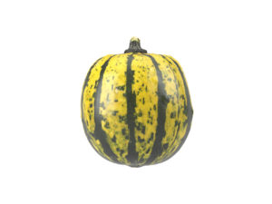 Decorative Gourd #2
