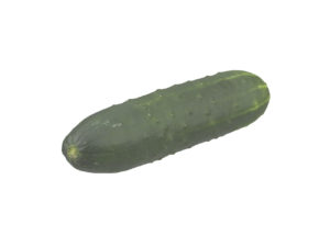 Cucumber #1