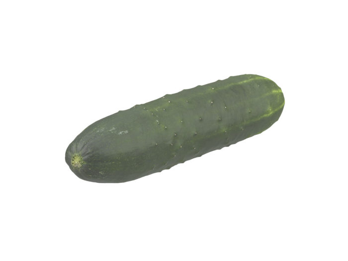 perspective view rendering of a cucumber 3d model