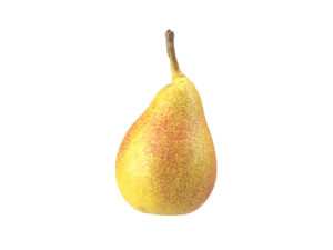 Pear #6