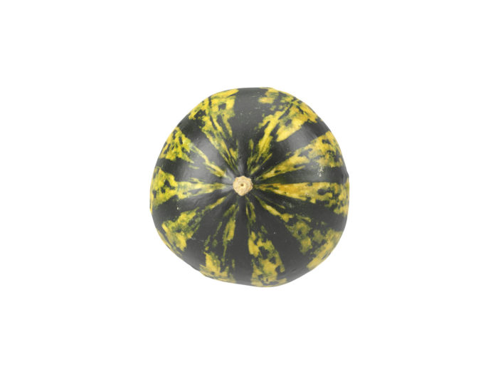 bottom view rendering of a decorative gourd 3d model