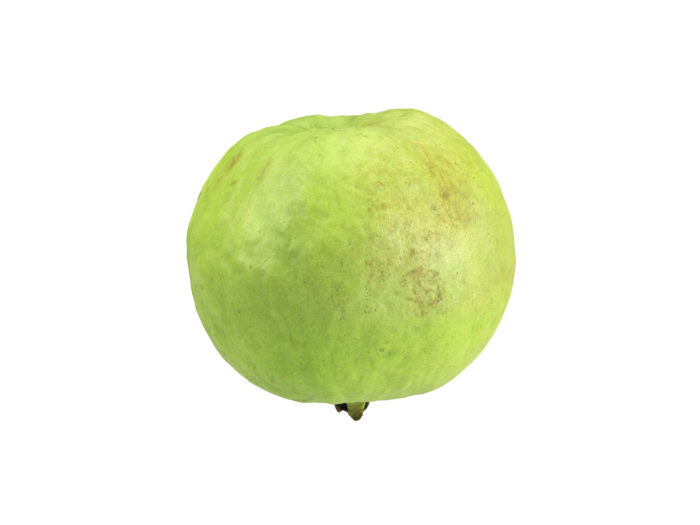 side view rendering of a guava 3d model