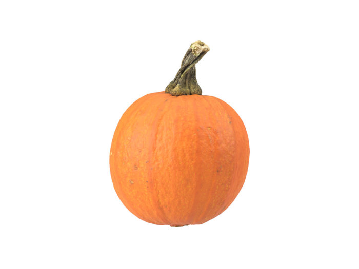 side view rendering of a decorative gourd 3d model