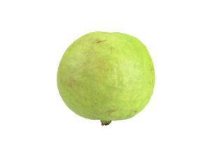 Guava #1