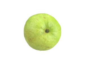 Guava #1