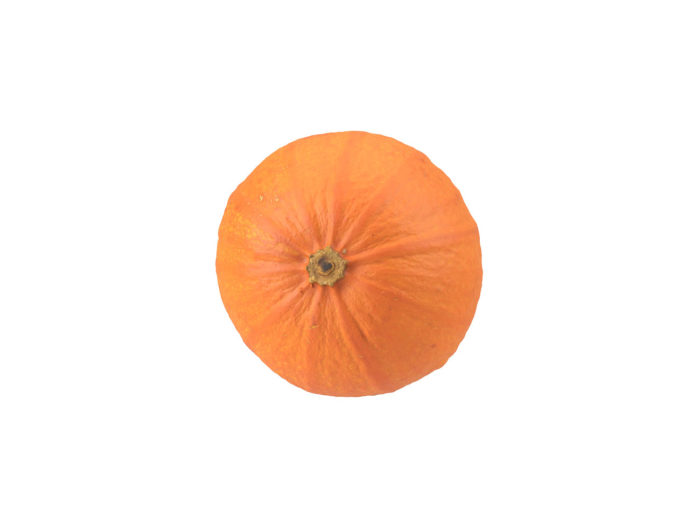 bottom view rendering of a decorative gourd 3d model
